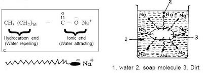 how surfactants work in soap