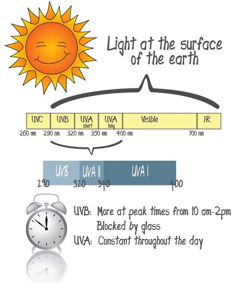 Types of UV Radiation