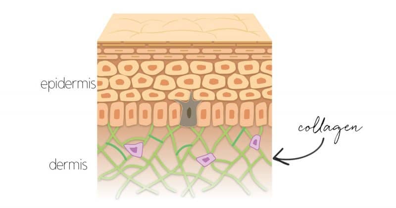 Strivectin Advanced and Collagen